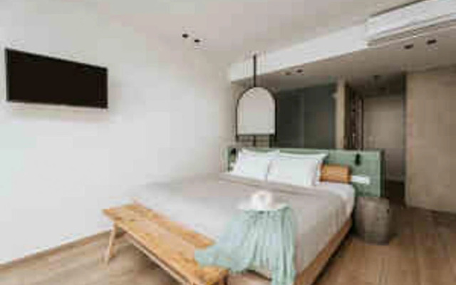 Paralos The Maxine - Adults Only