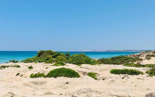 Dimora Petrachi 1890