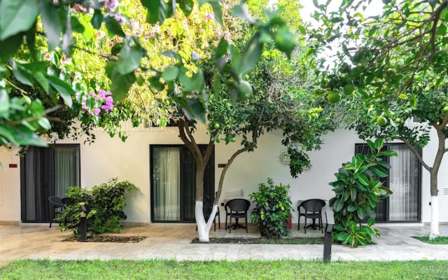 Perast Garden