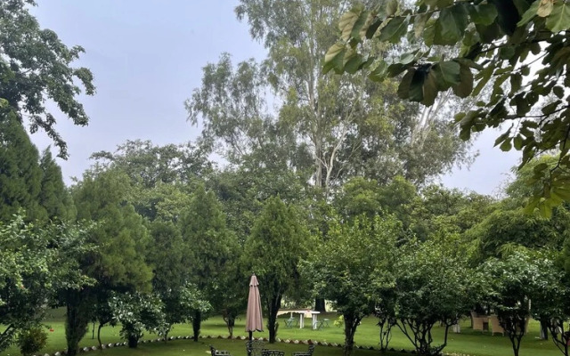 Tree of Life Dak Bunglow