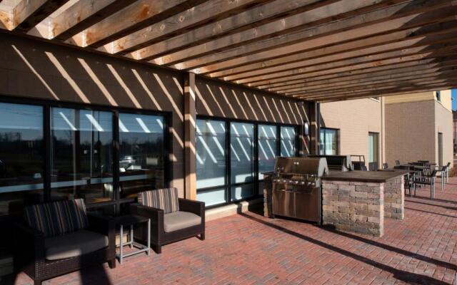 TownePlace Suites by Marriott Detroit Belleville