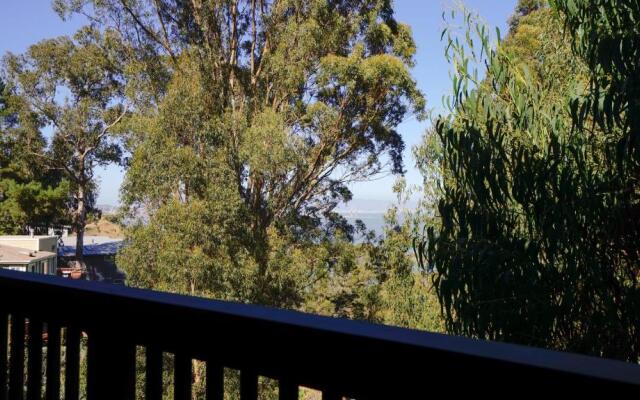 @ Marbella Lane Eco Friendly Treehouse, SFO