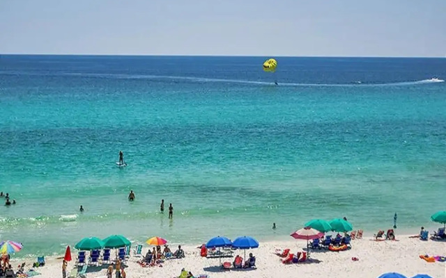 Celadon 302 - 718510