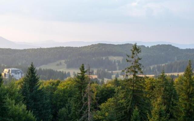 Apartments Alpin Resort Poiana Brasov