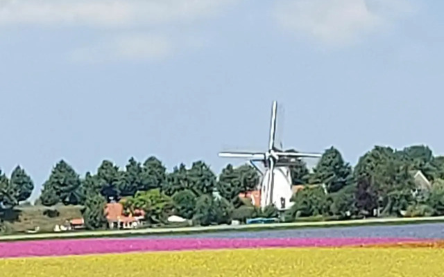 B&B De Nieuwe Stal