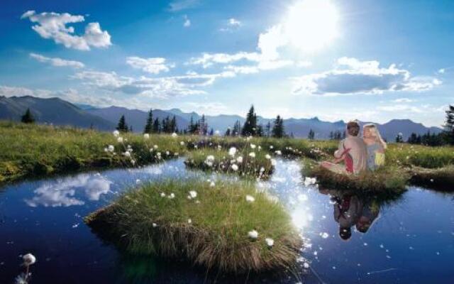 Schlosserhaus Appartements