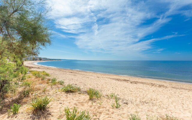 3533 Il Giglio Azzurro by Barbarhouse