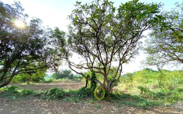 Wilderness Camp 200mtr from Devaliya Park
