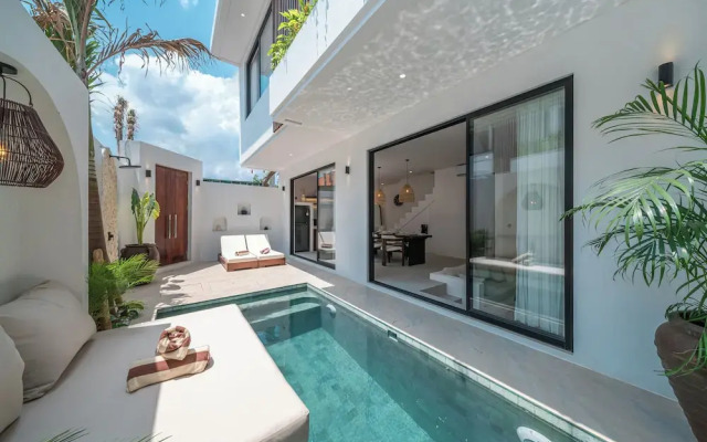 Nova Oasis 1