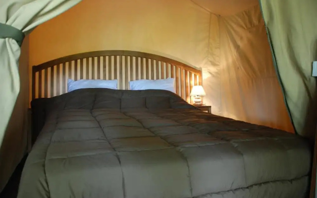 Camping les Tournesols