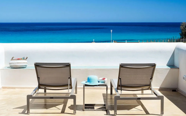 San Lorenzo - Lavanda