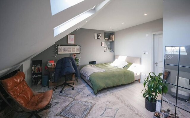 Stunning Modern 5-bed House in Central London