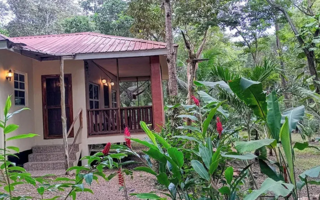 The Cabins at Monkey Fall