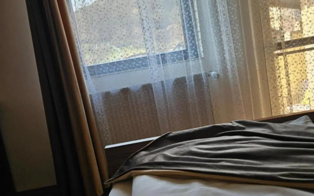 Pensiunea Michaels House