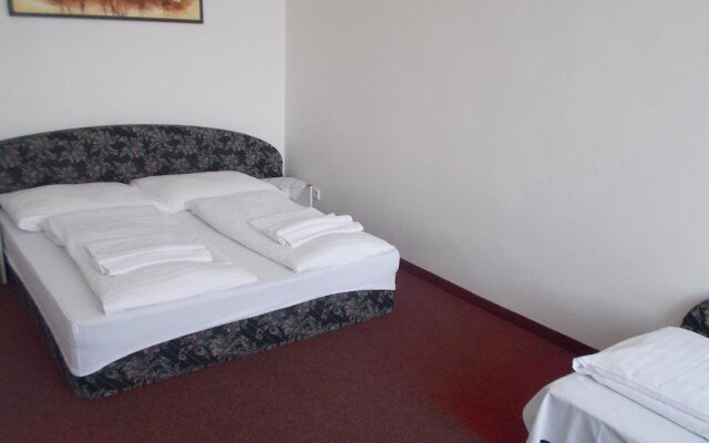 Hotel U Hroznu