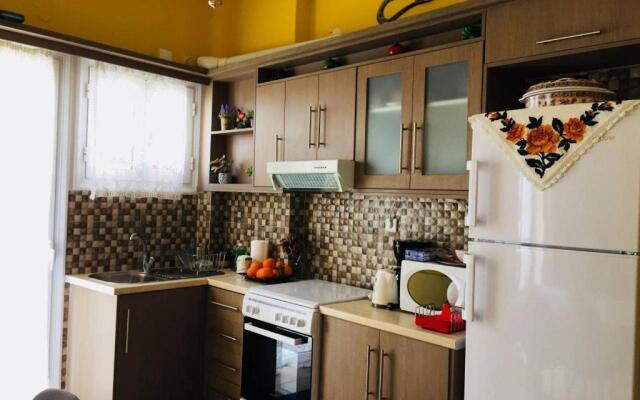 Cute and comfortable Apartment Nefeli