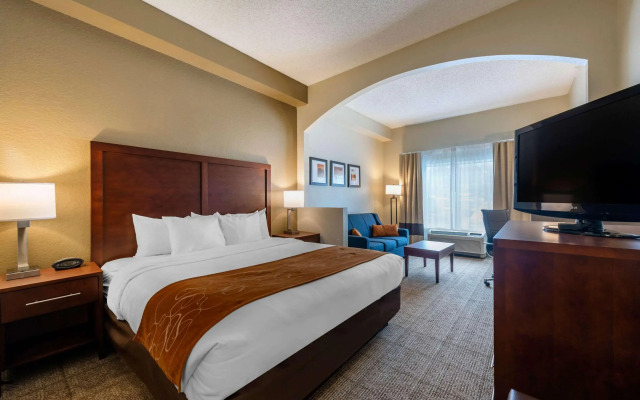 Comfort Suites Downtown