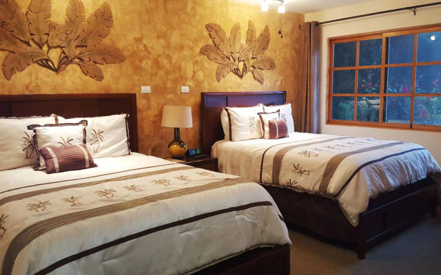 Buena Vista Chic Hotel