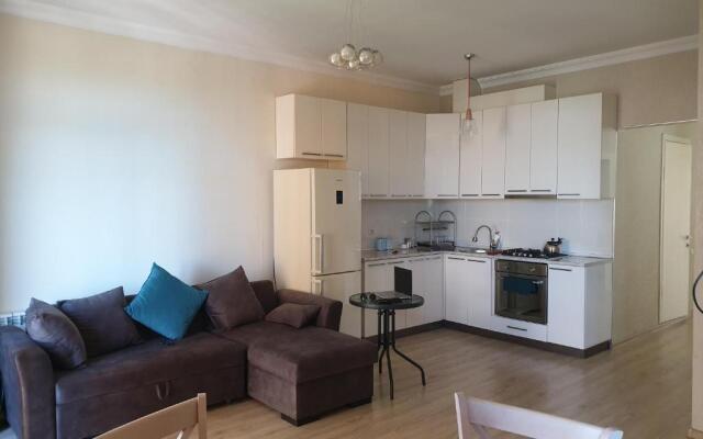 Apartment on the Rustaveli