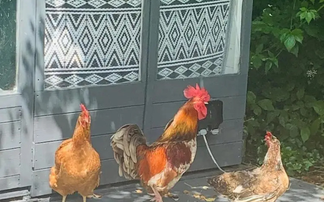 Penhallow House Glamping Retreat