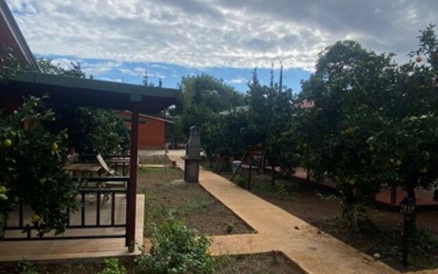 Cirali Anka Apart Bungalov