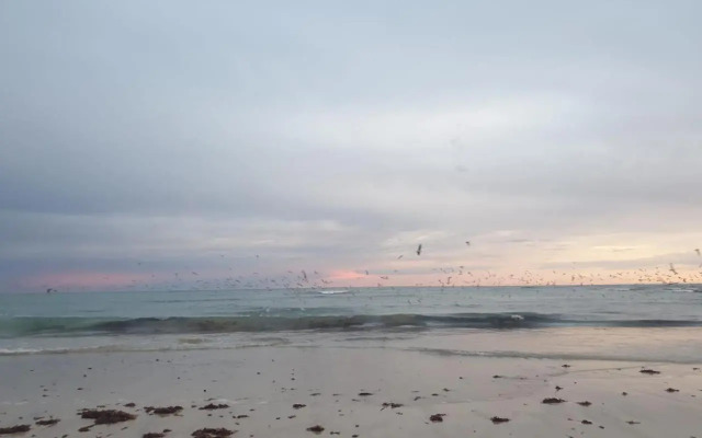 The Sparrow's Nest Beach-Front Self-catering