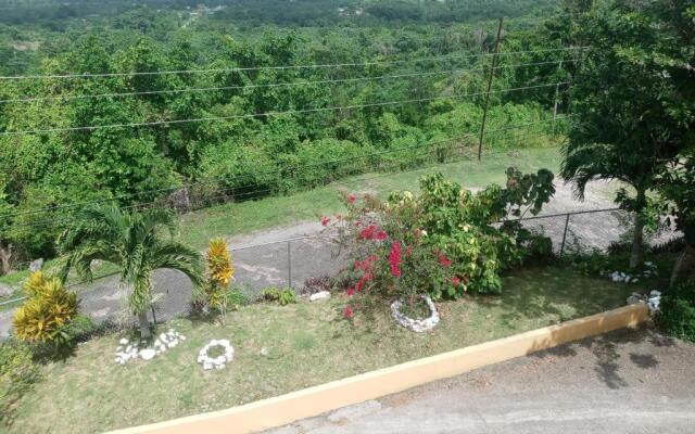 Royal Villa 360