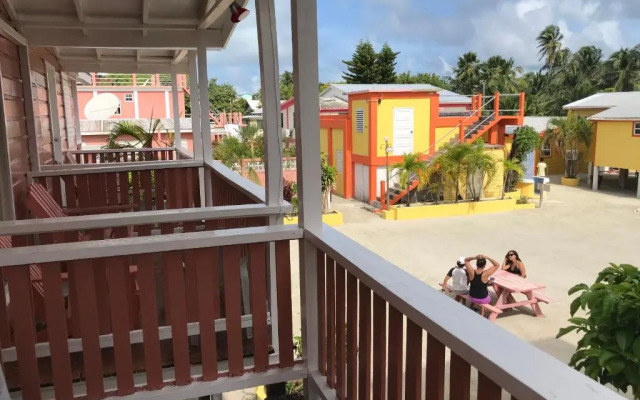 Tropical Paradise Express