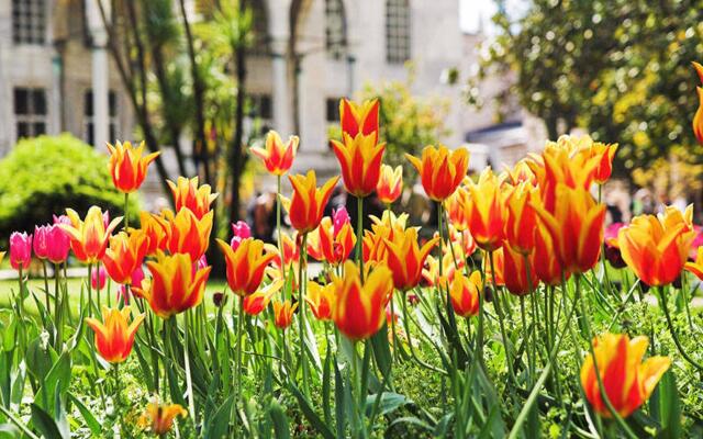 Villa Sphendone Suites