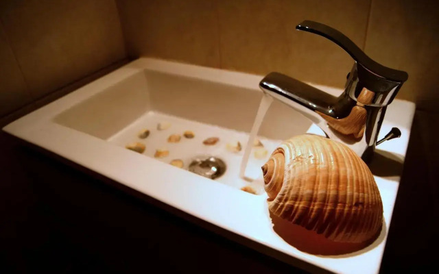 Iris Accommodation