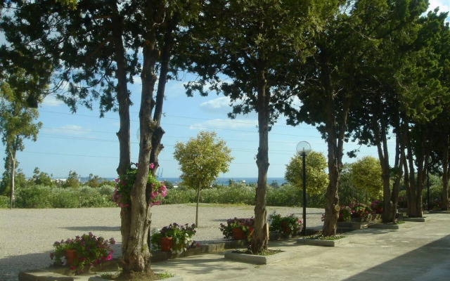 Samarcanda