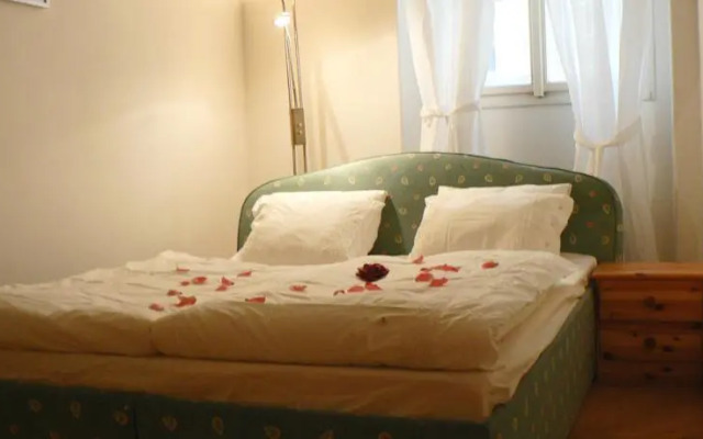 Historical Town Apartment