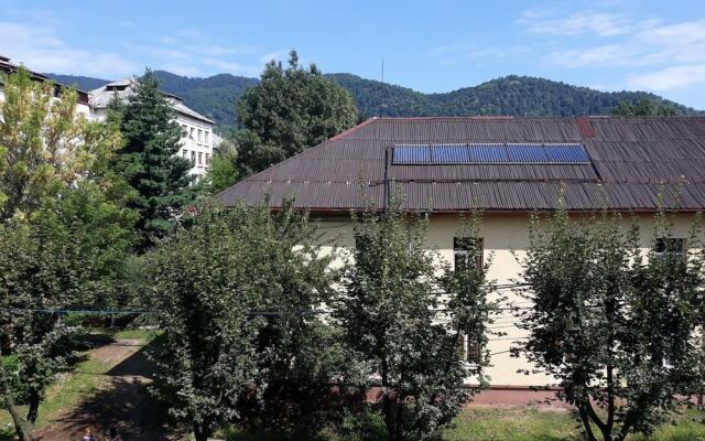 Apartment Family Rivulus