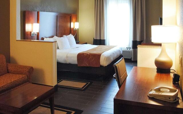 Comfort Suites Grand Rapids South