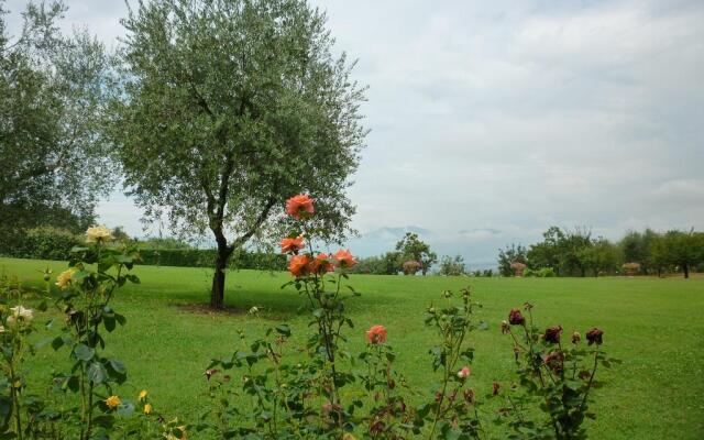 Tenuta le Viiste