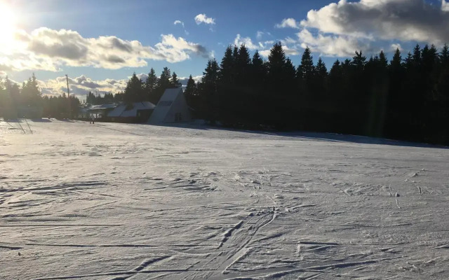 Apartma Rogla - Gaber 98