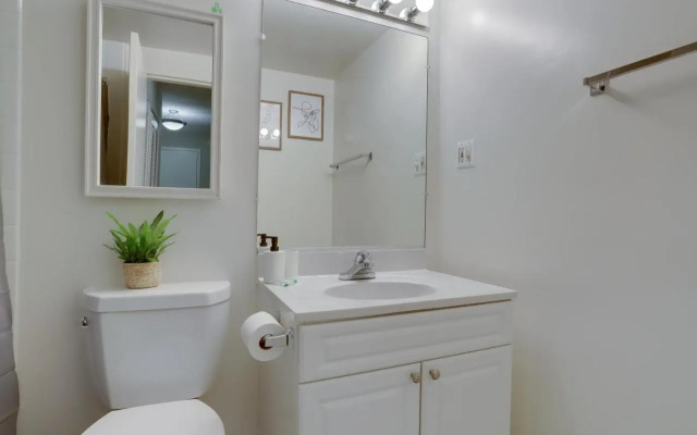 Modern Apartment At Crystal City
