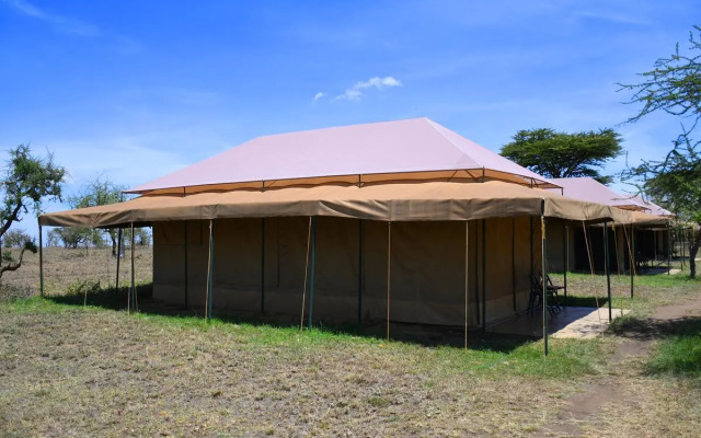 Serengeti Wild Camp