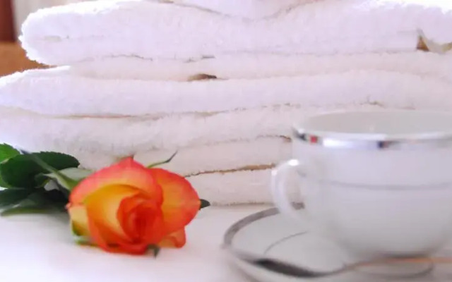 Ty Blaidd Bed and Breakfast