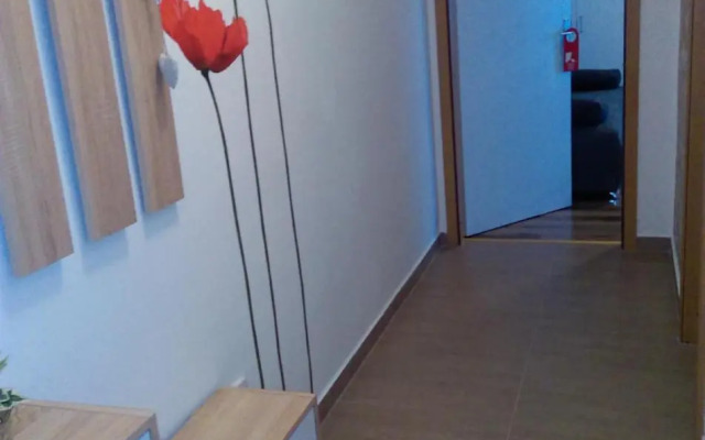 Studio Apartman Ždral