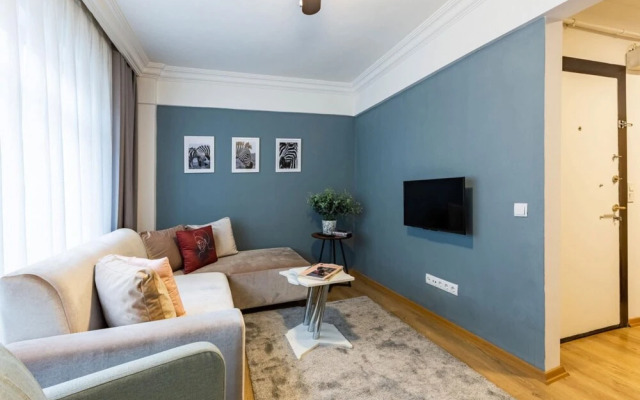 Missafir Impressive Flat in the Heart of Cihangir