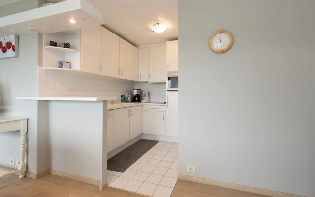 Spacious Apartment With Terrace