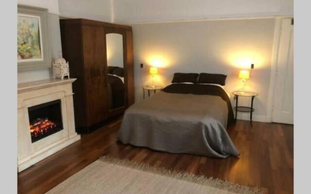 Vrijstaande rietgedekte villa nabij uitvalswegen