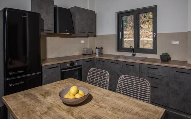 Brand new Villa Lefka with private pool at Platies