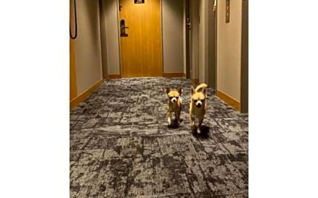 ICI HOTEL Asakusabashi - Vacation STAY 69312v