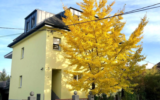 Sunny Villa Apartments