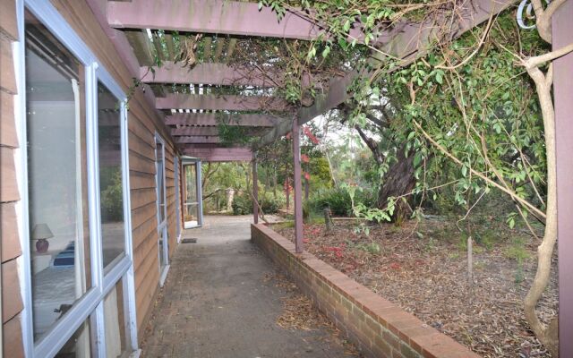 Beechwood - Surf Side