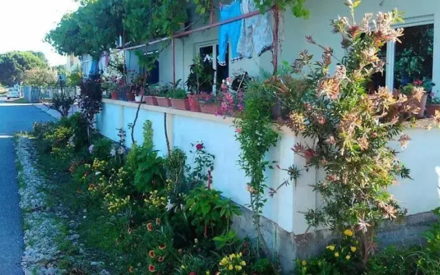 Adi Studios