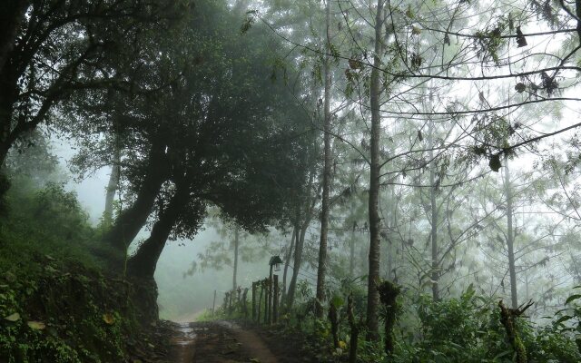 Nature Zone Jungle Resort