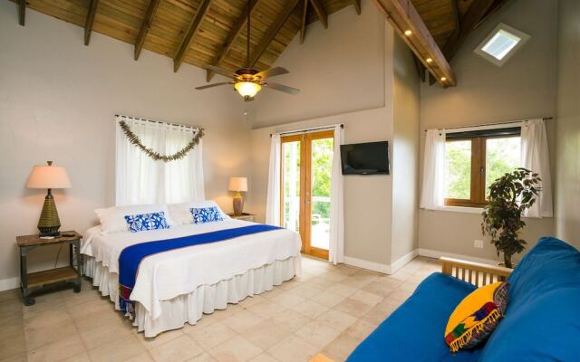 Blue Tang 4 Bedroom Home
